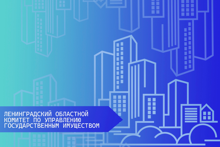 О ДОПОЛНИТЕЛЬНОМ ОТБОРЕ ЗАЯВОК НА ПРЕДОСТАВЛЕНИЕ СУБСИДИИ НА ПРОВЕДЕНИЕ КАДАСТРОВЫХ РАБОТ В 2024 ГОДУ