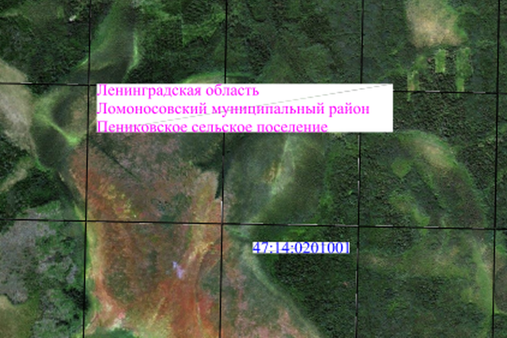 Об возможном установлении публичного сервитута в Ломоносовском районе