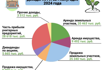 О доходах за I полугодие 2024 года